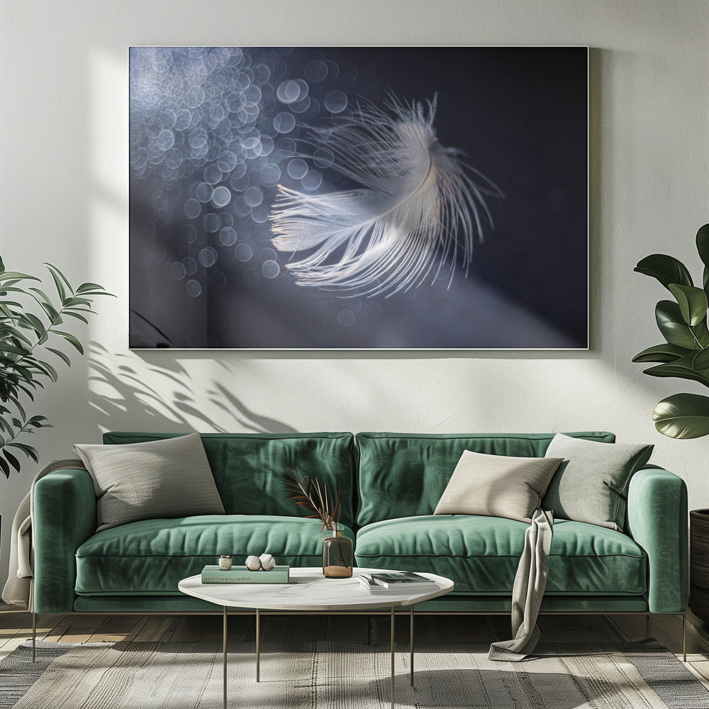 Placidity | Canvas