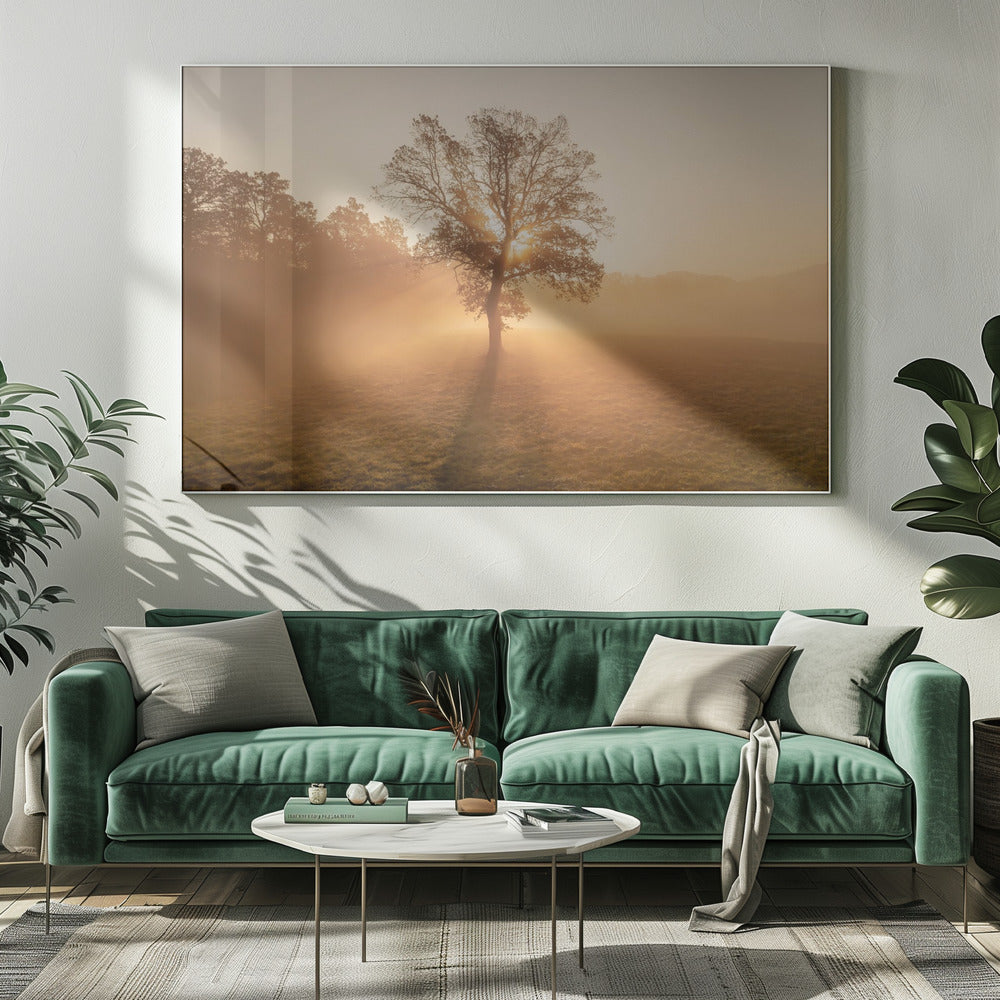 Lonely tree | Canvas