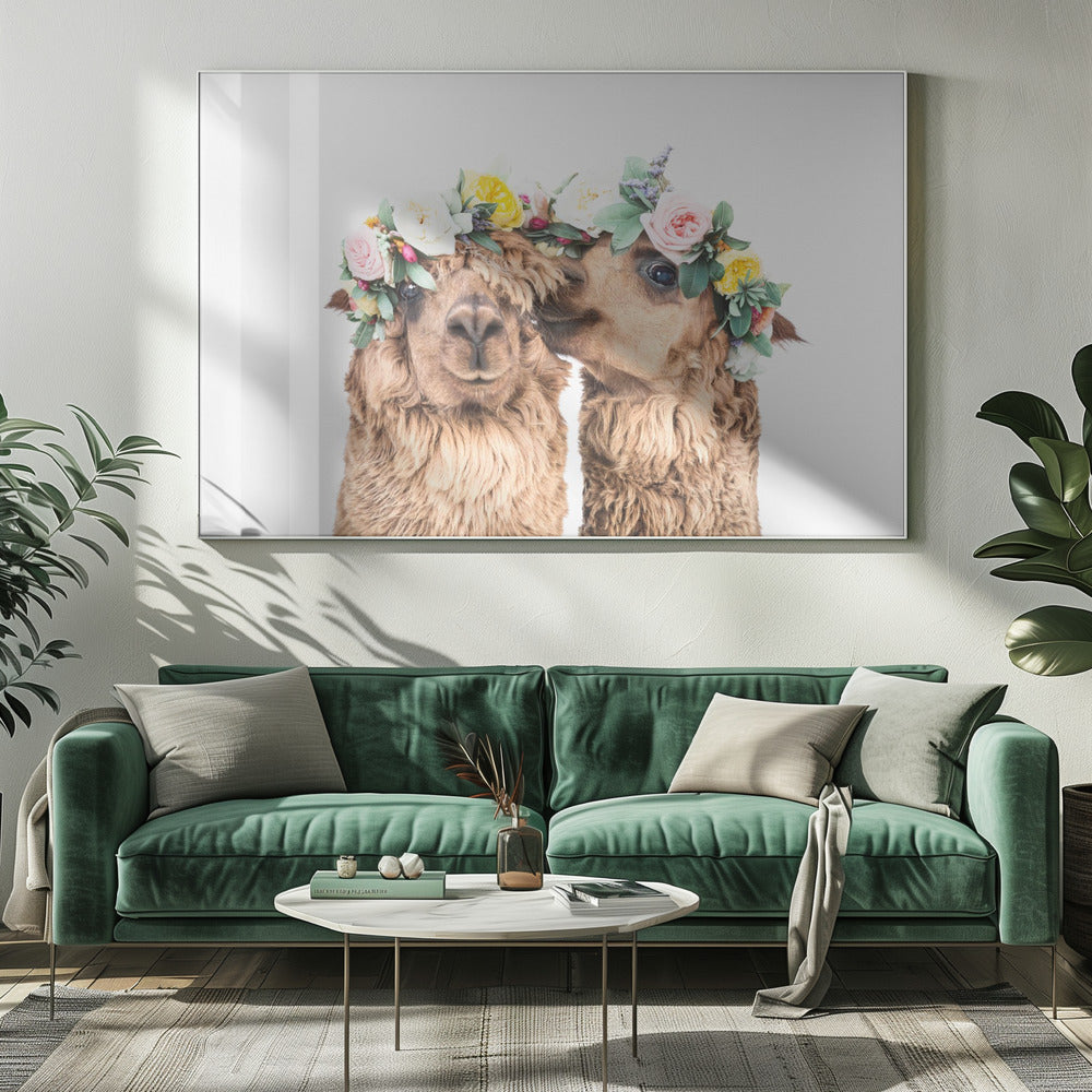 Boho Alpakas | Leinwand