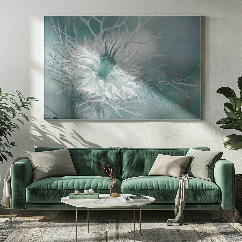 Afterglow | Canvas