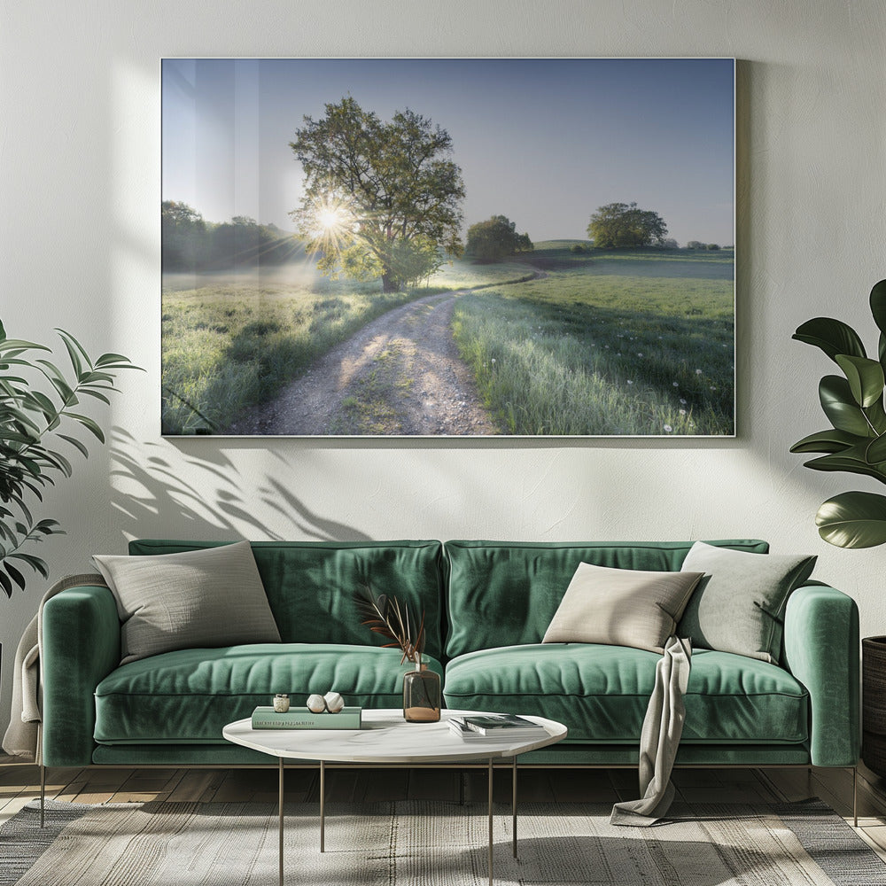 Frühlingspfad | Leinwand