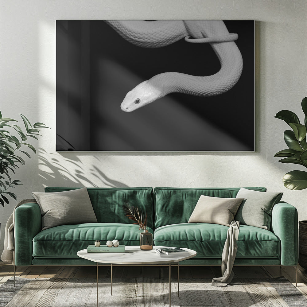 Serpent Blanc | Leinwand