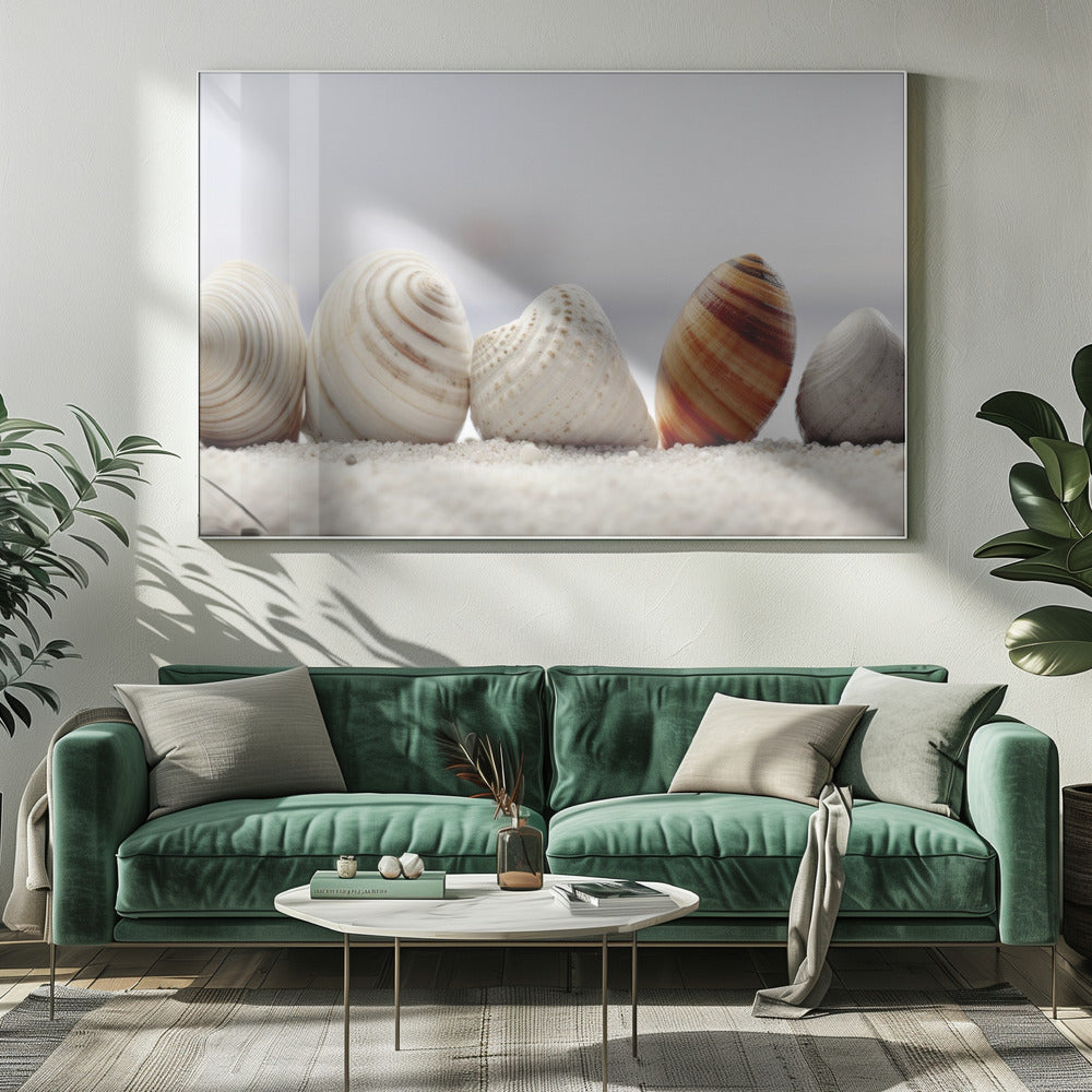 Muschelsymphonie | Leinwand