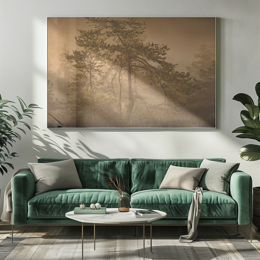 20220809 Dsf8003 1 | Leinwand
