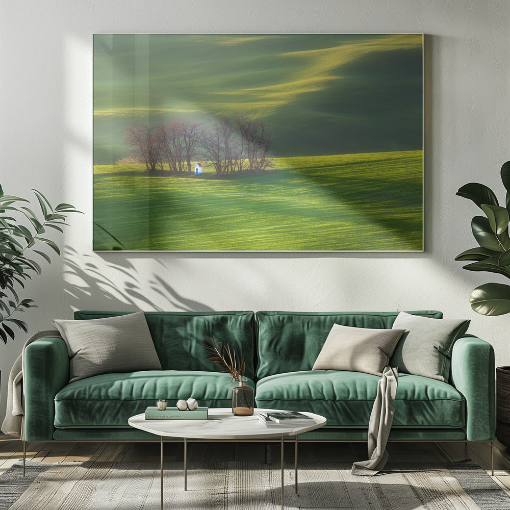 Felder... | Leinwand