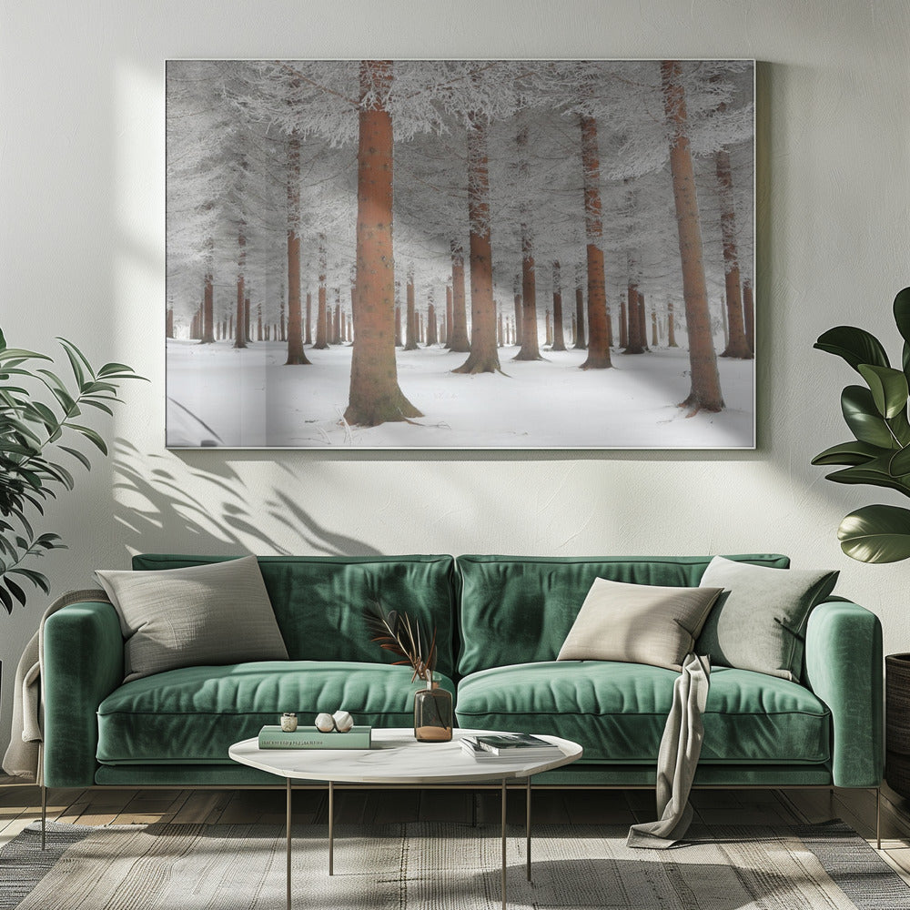 In White | Canvas