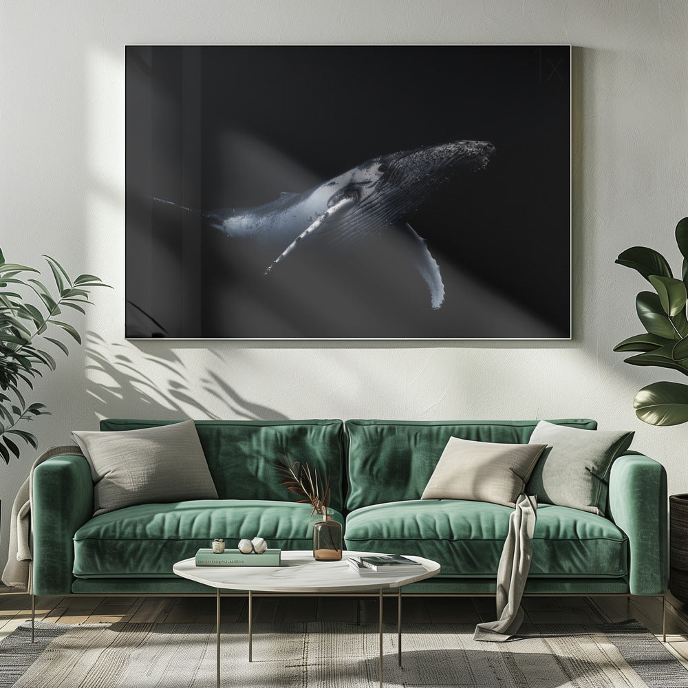 Schwarz &amp; Wal | Leinwand