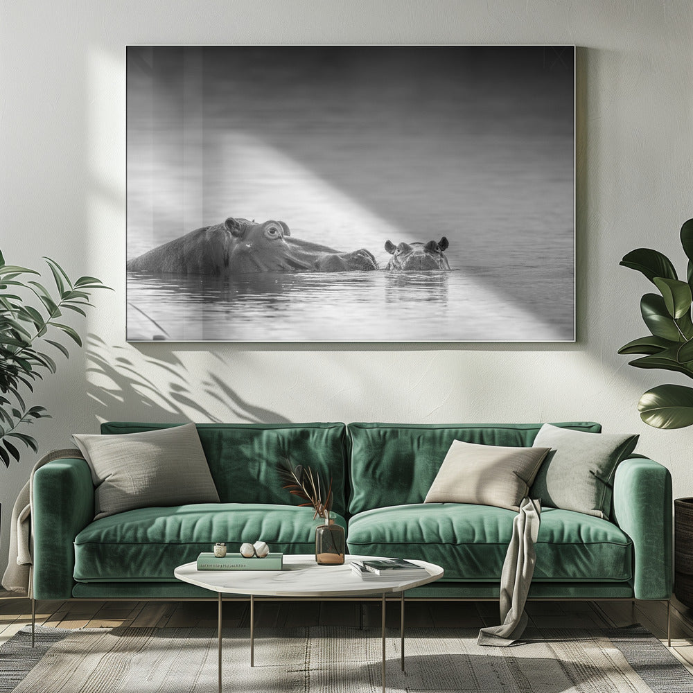 Augenhöhe | Leinwand