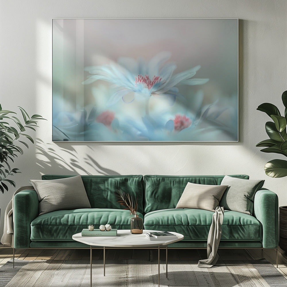 Fantasy | Canvas