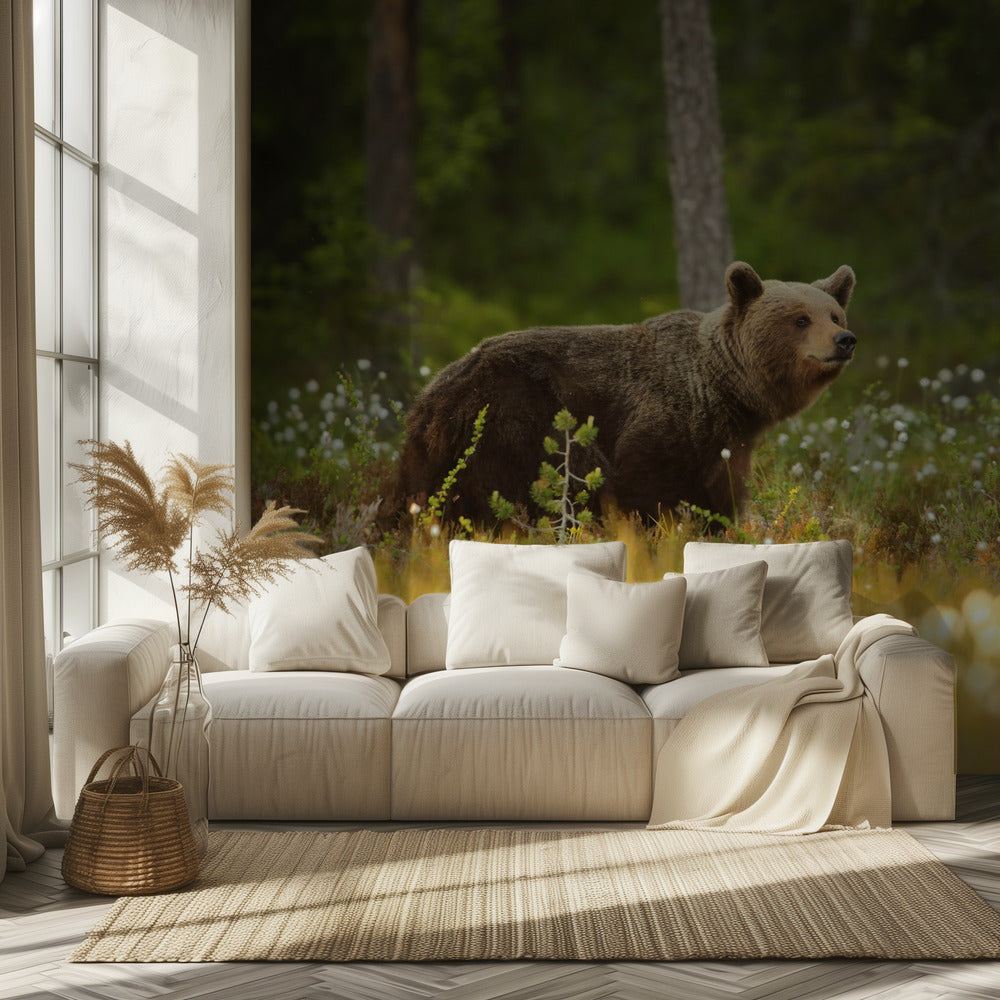 Braunbär | Tapete