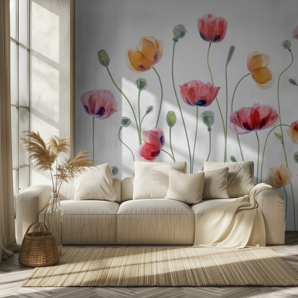 Papaver-Party | Tapete