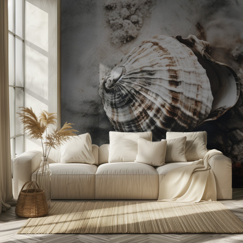 Seashell Serenity | Wallpaper