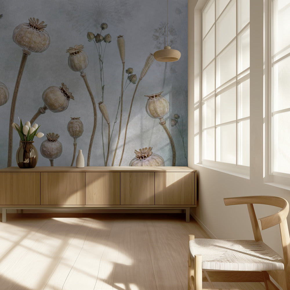 Papaver | Tapete