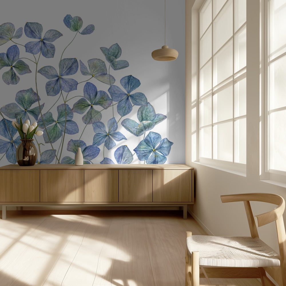 Hortensie | Tapete