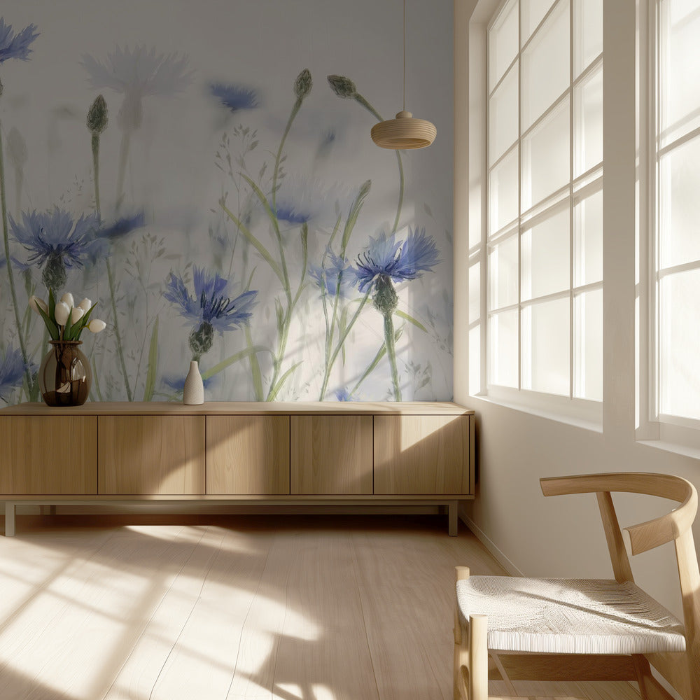 Kornblumen | Tapete