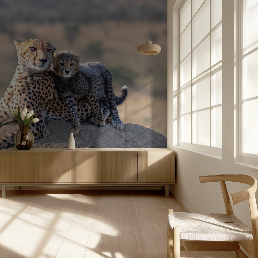 Gepard und Tasse! | Hintergrundbild