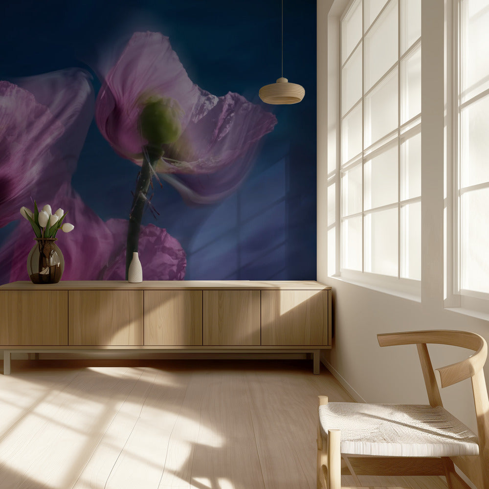 Mohnblumen am Wegesrand | Tapete