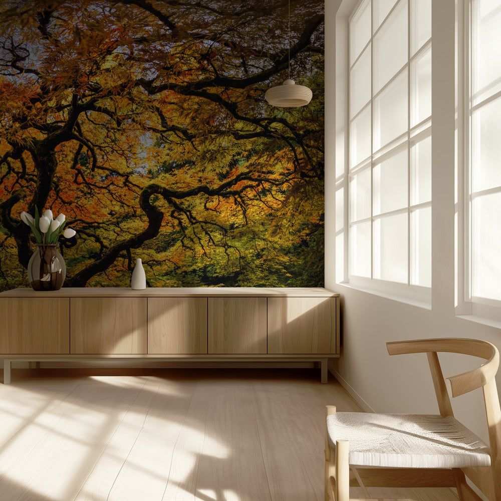 The maple Tree | Wallpaper