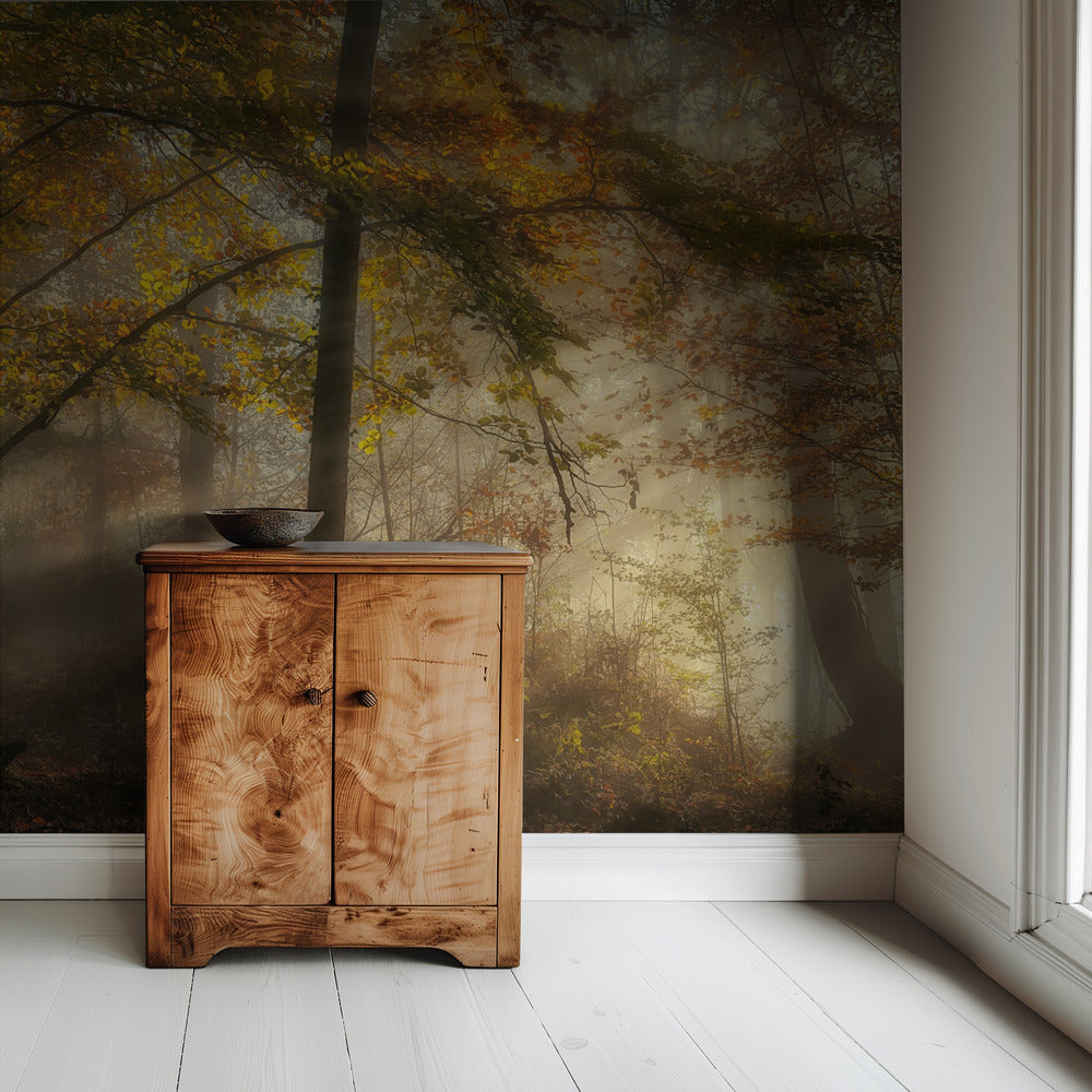 Die Lichter des Waldes | Hintergrundbild
