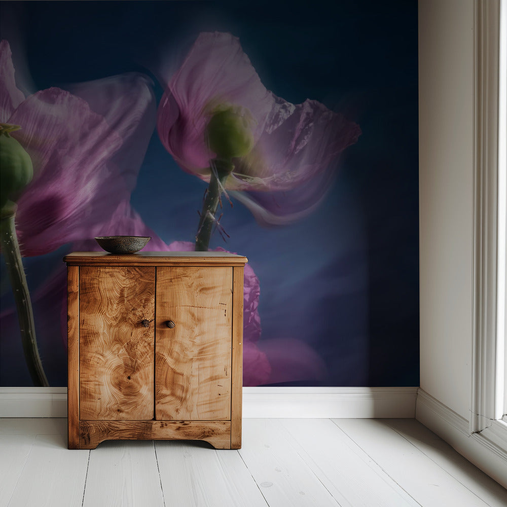 Mohnblumen am Wegesrand | Tapete