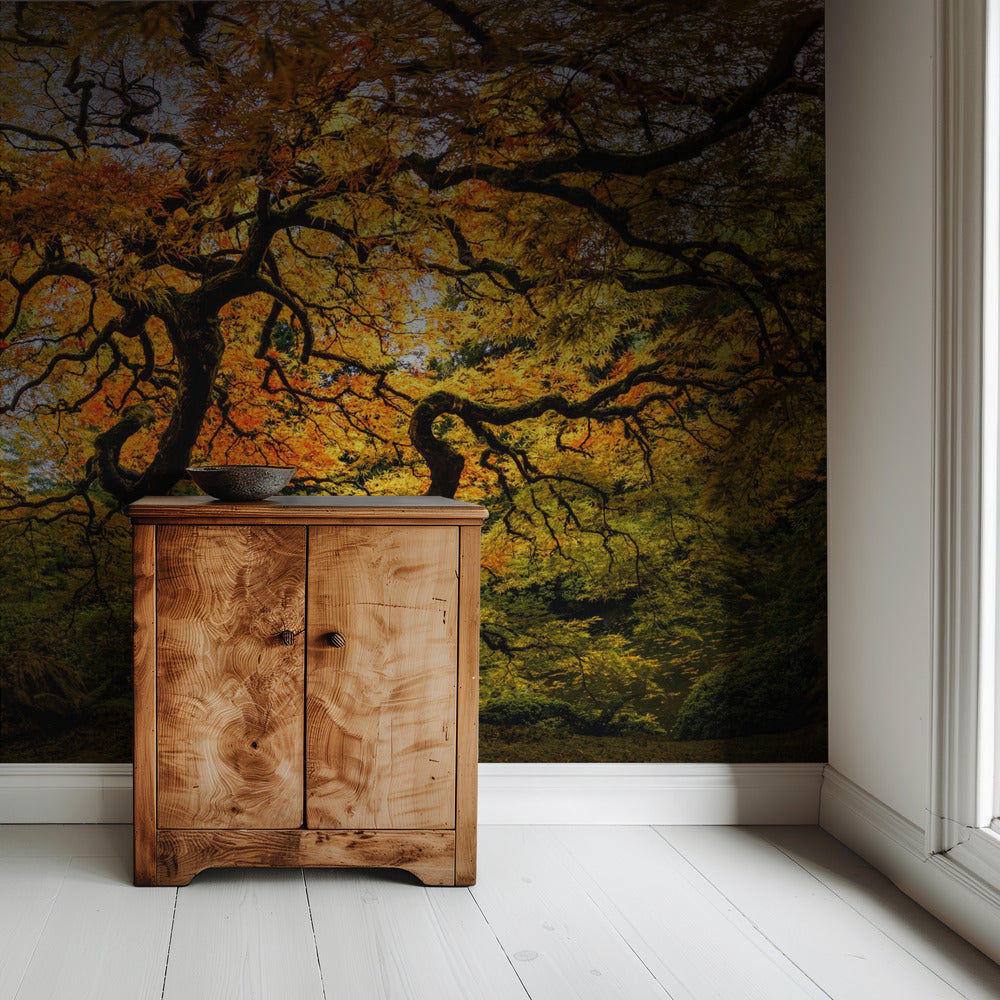 The maple Tree | Wallpaper