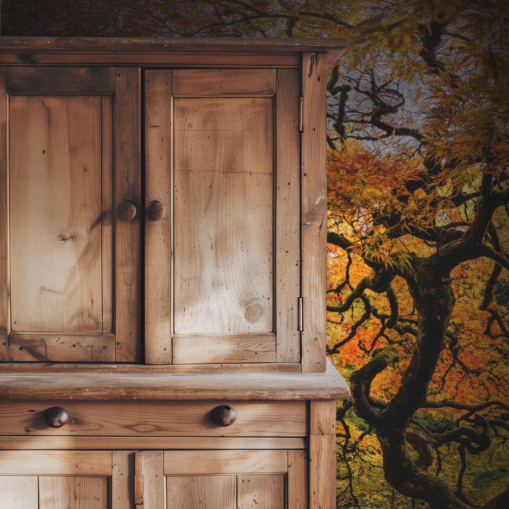 The maple Tree | Wallpaper