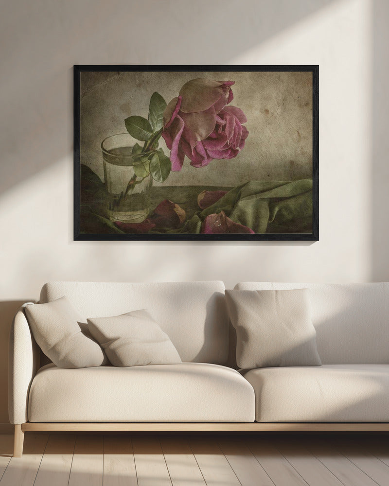 Träne der Rose | Leinwand