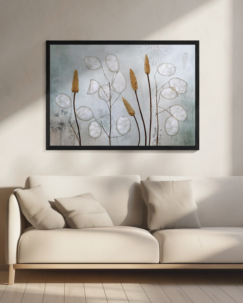 Lunaria | Leinwand