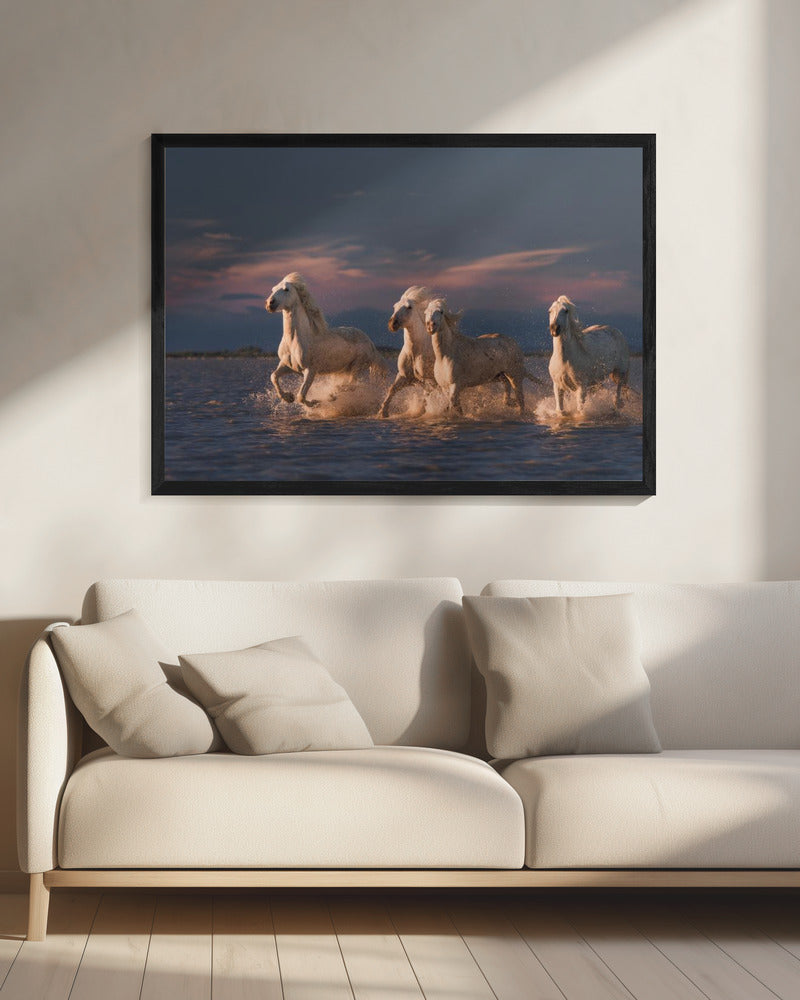 Engel der Camargue | Leinwand