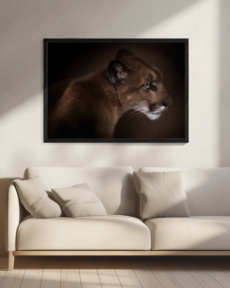 Puma | Leinwand