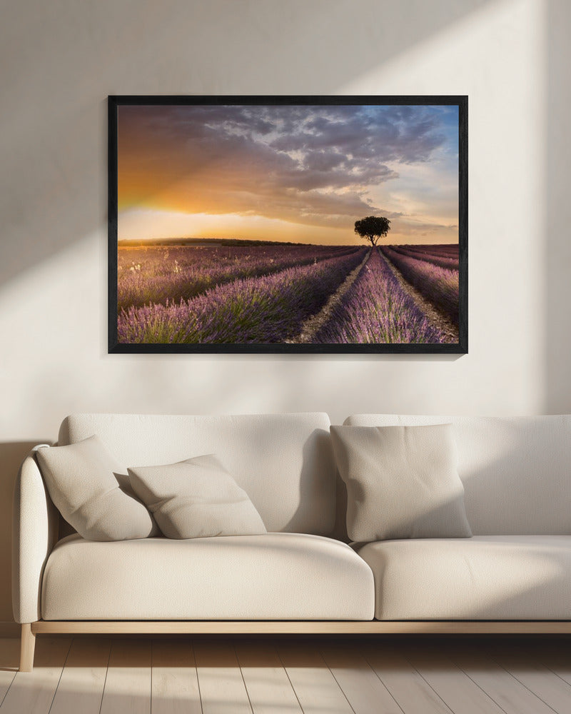 DESTINATION LAVENDEL | Leinwand