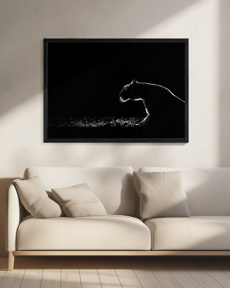 Untitled | Canvas