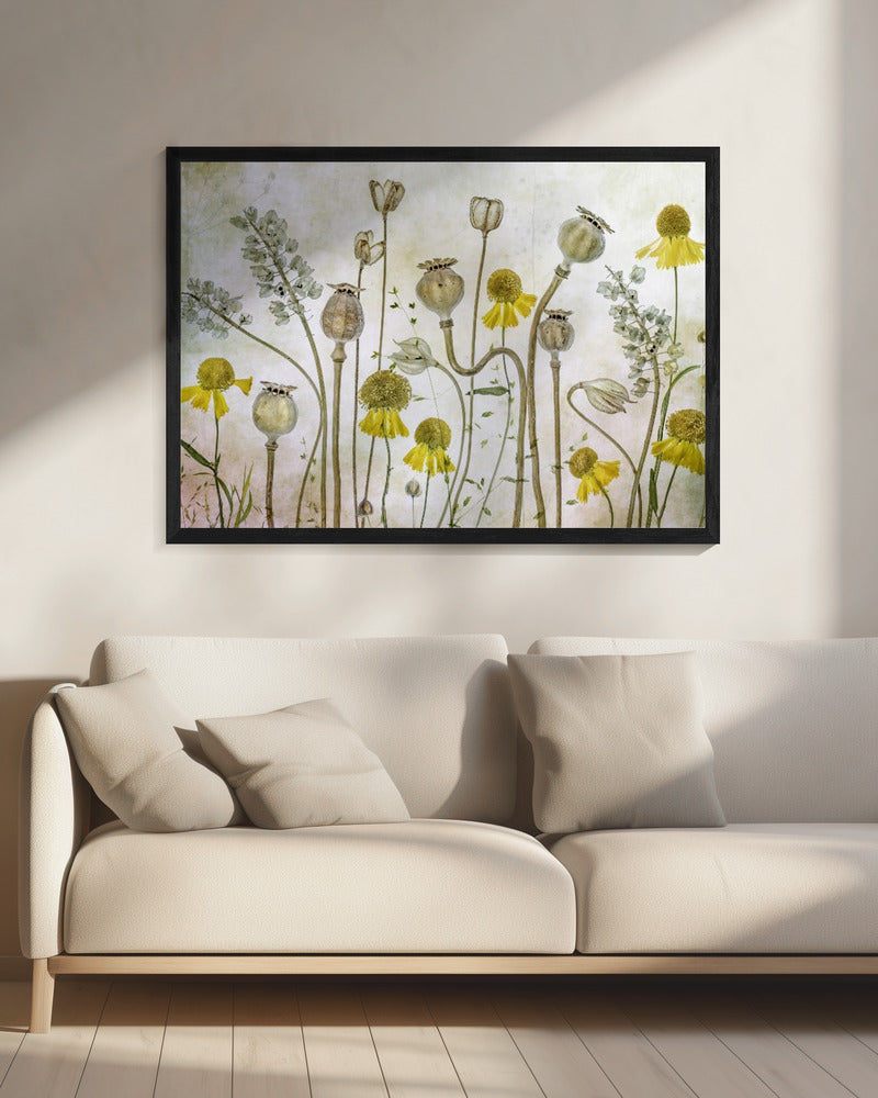 Mohnblumen und Helenium | Leinwand