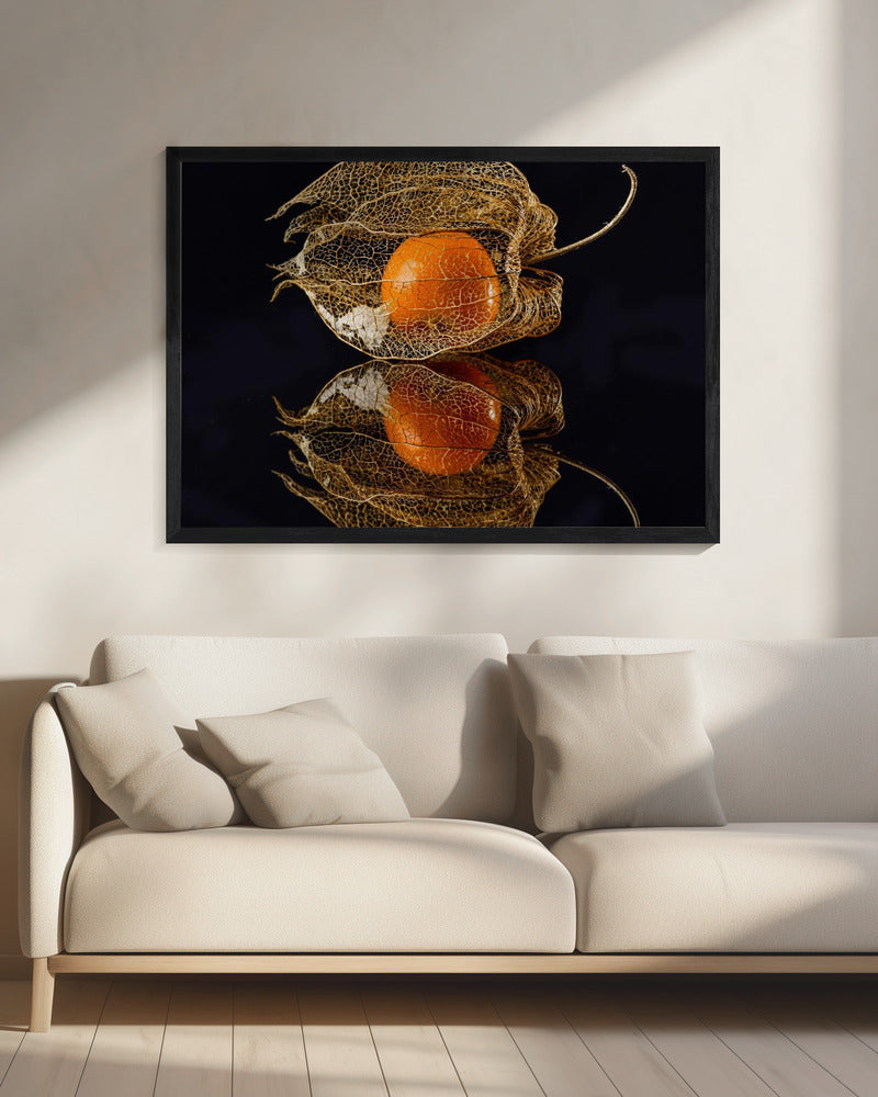 Physalis | Leinwand