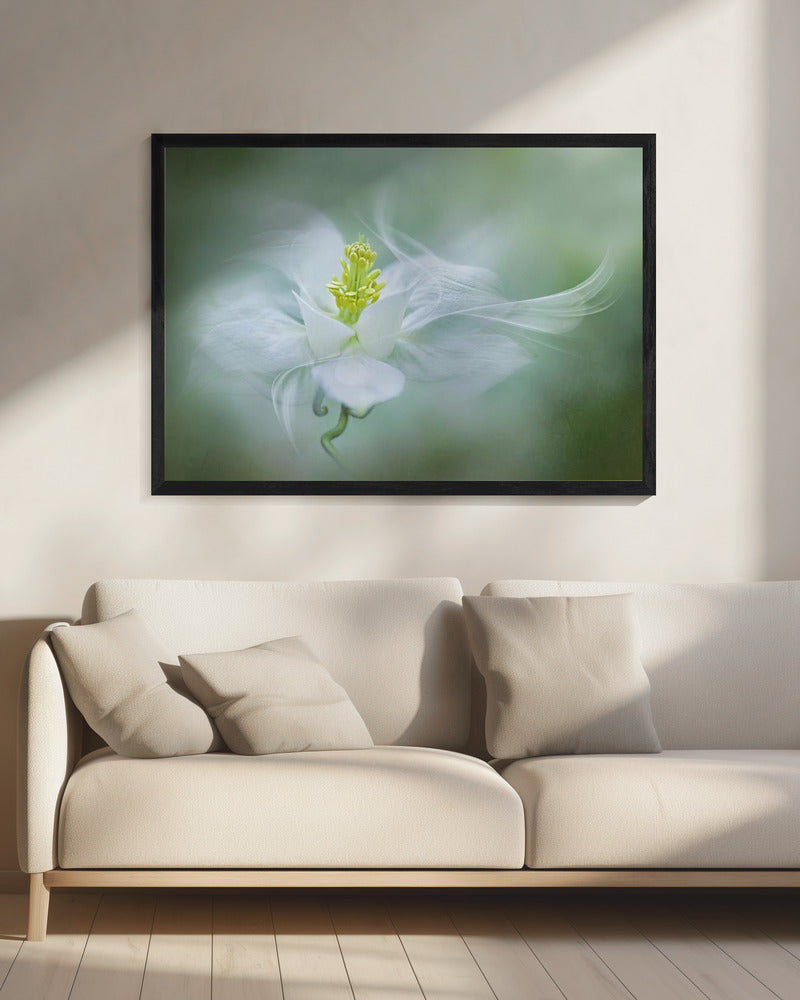 Mystisch | Leinwand