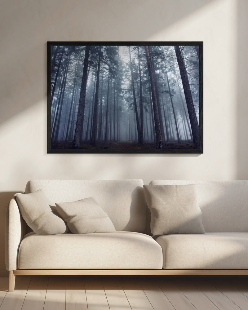 Geheimnisvoller Nebelwald. | Leinwand
