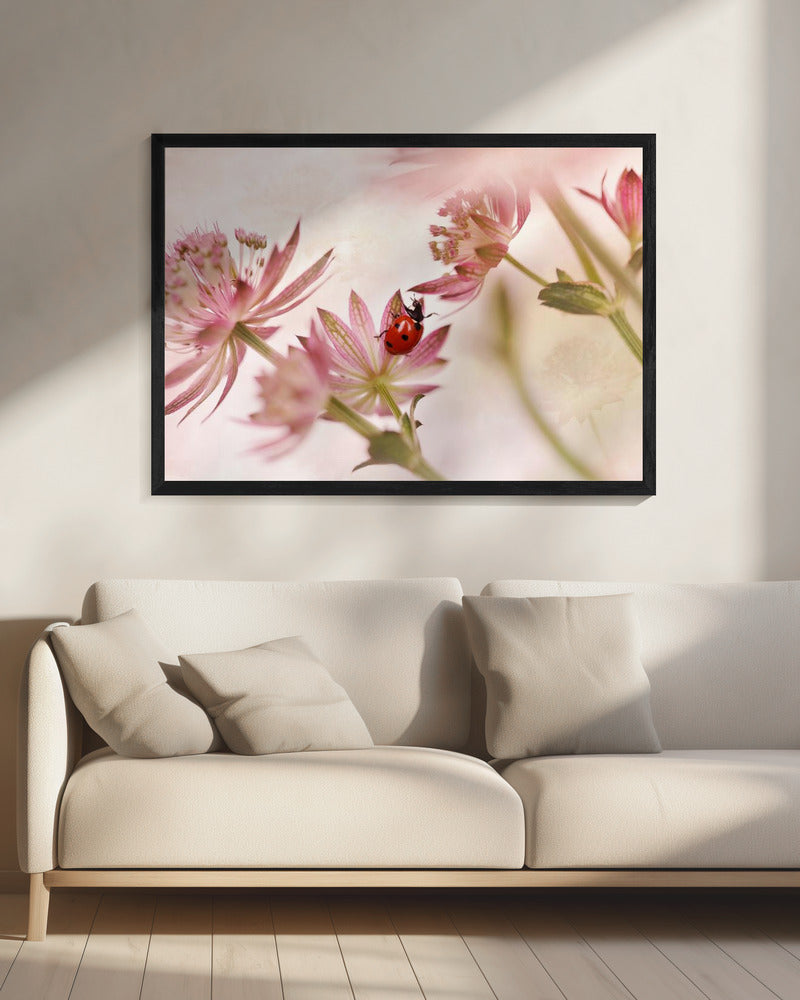 Marienkäfer und rosa Blumen | Leinwand
