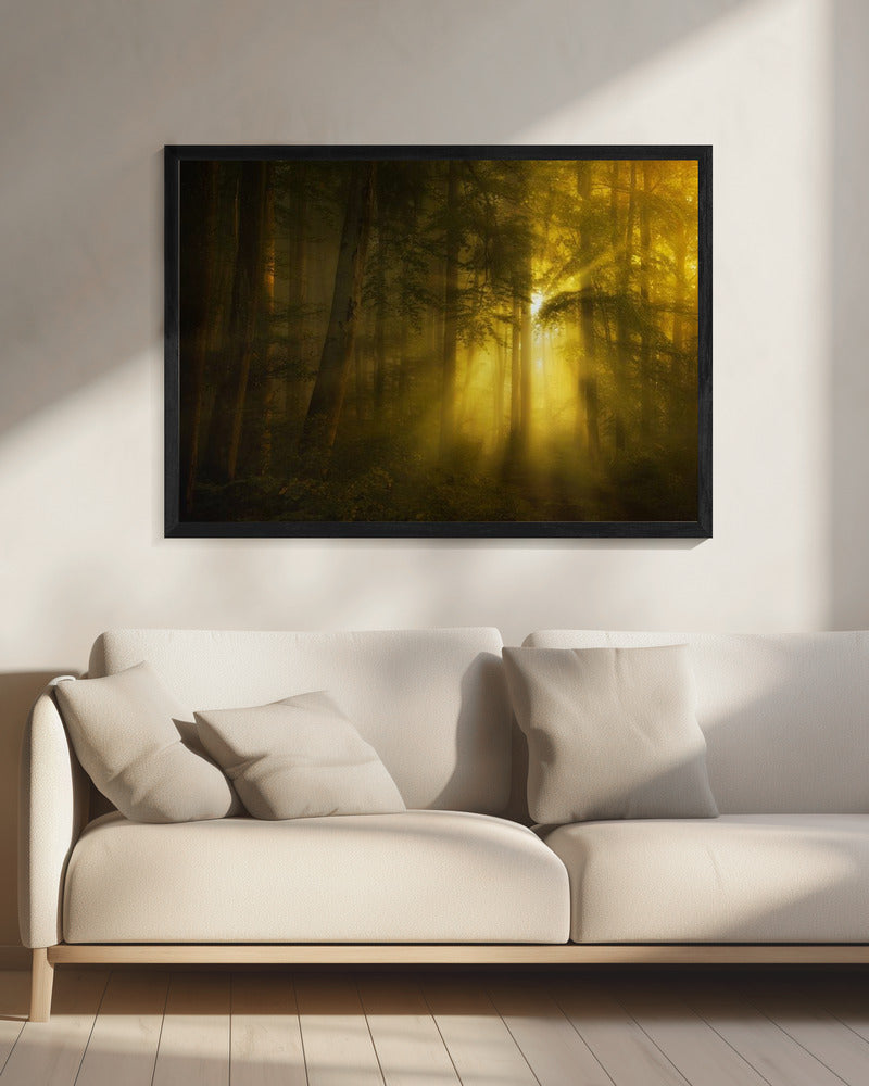 Yellow | Canvas