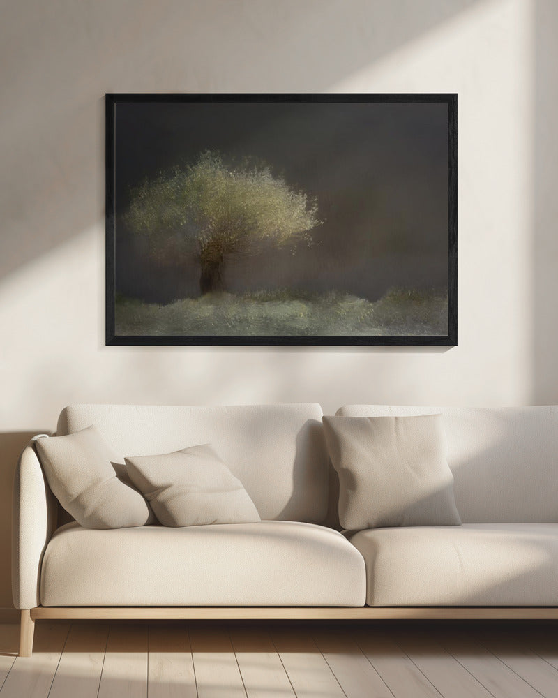 Willow | Canvas