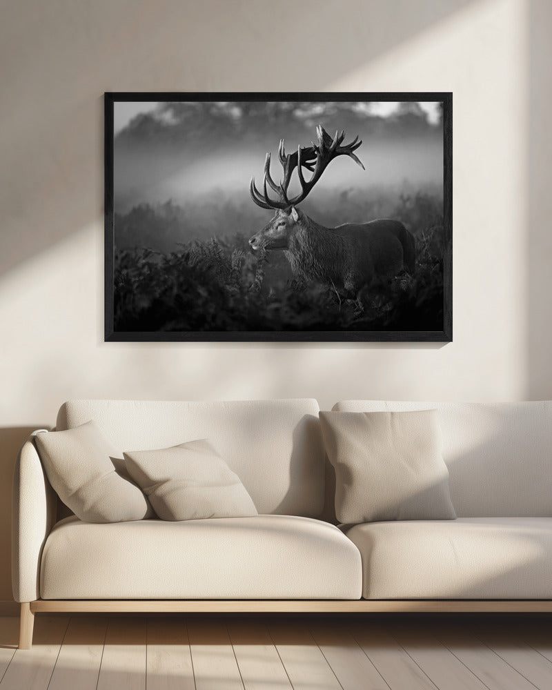 Sunny Morning | Canvas