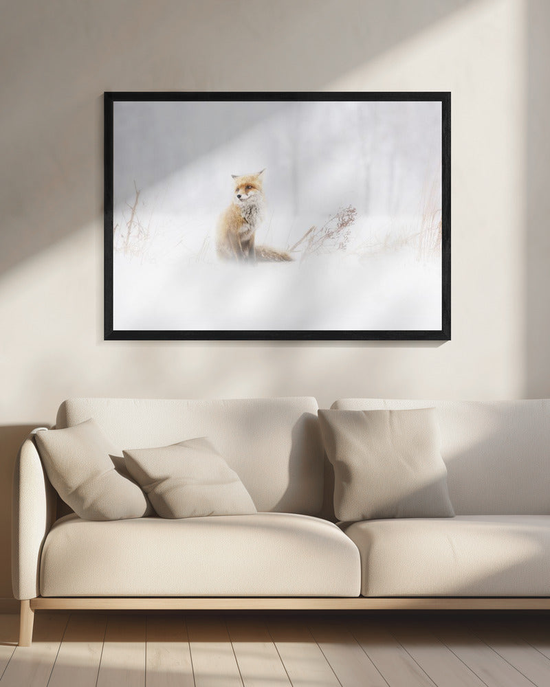 Waiting... | Canvas