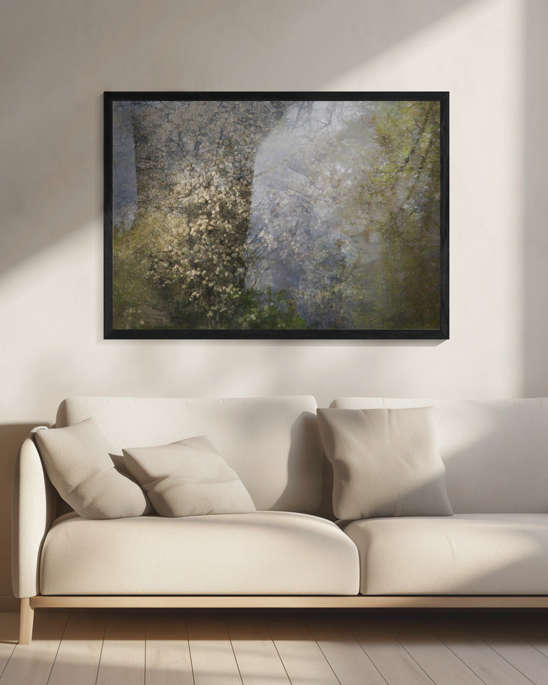 Blossom | Canvas