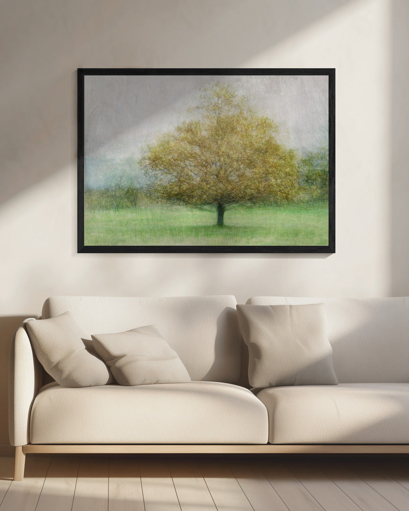 Solitär | Leinwand