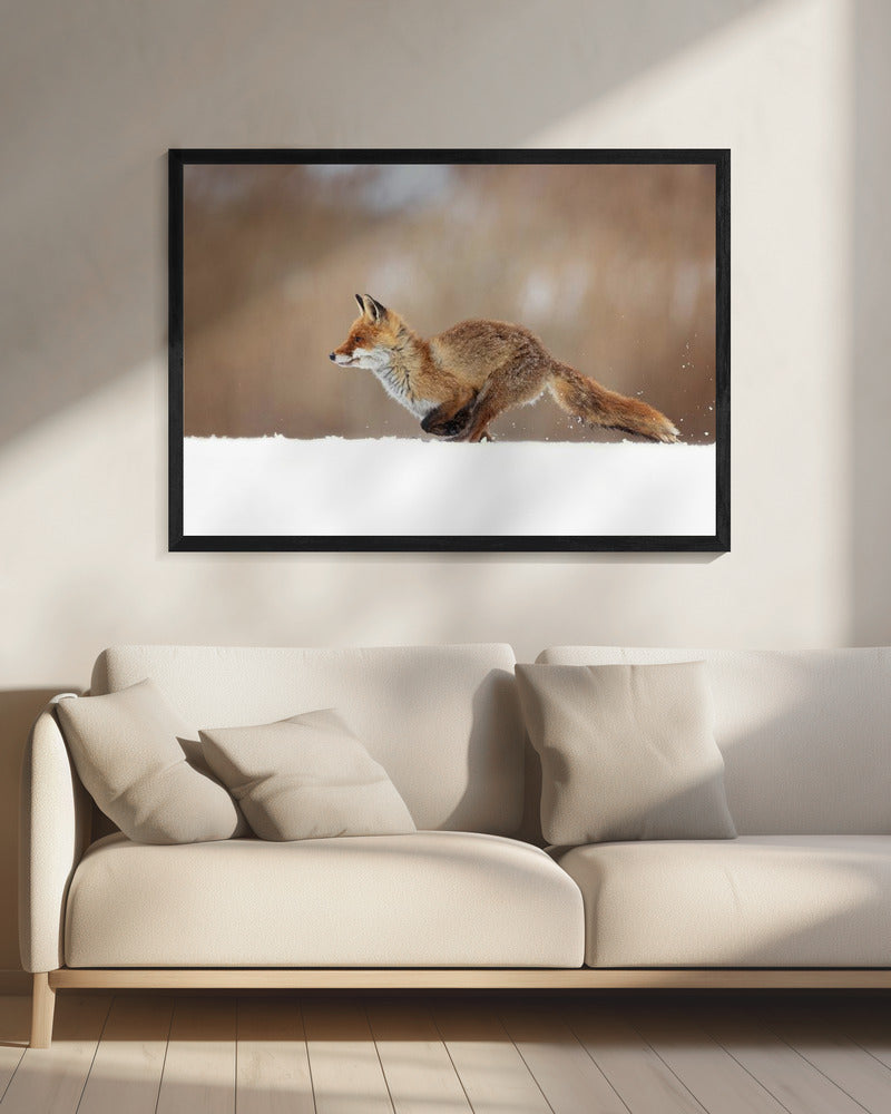 Roter Fuchs | Leinwand