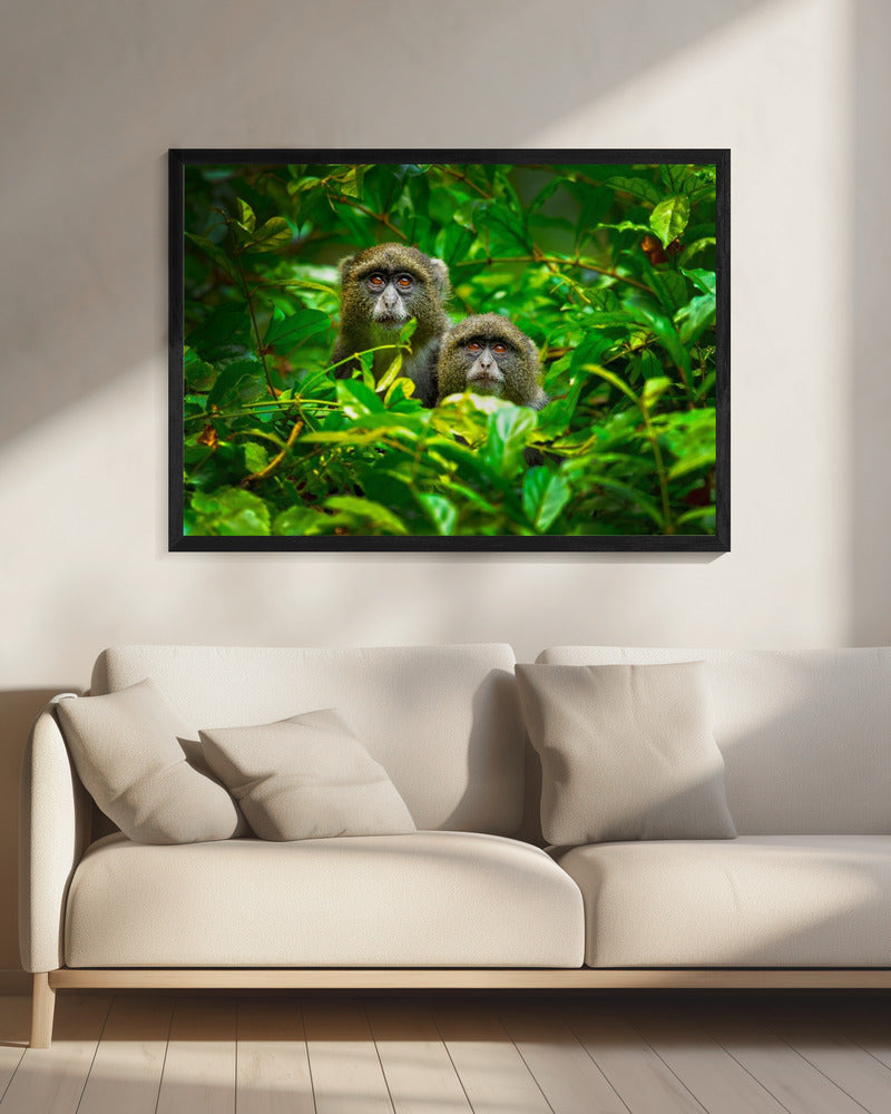 Blauer Affe | Leinwand