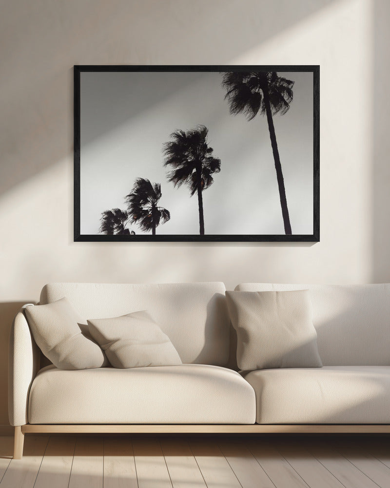Palme_004 | Leinwand