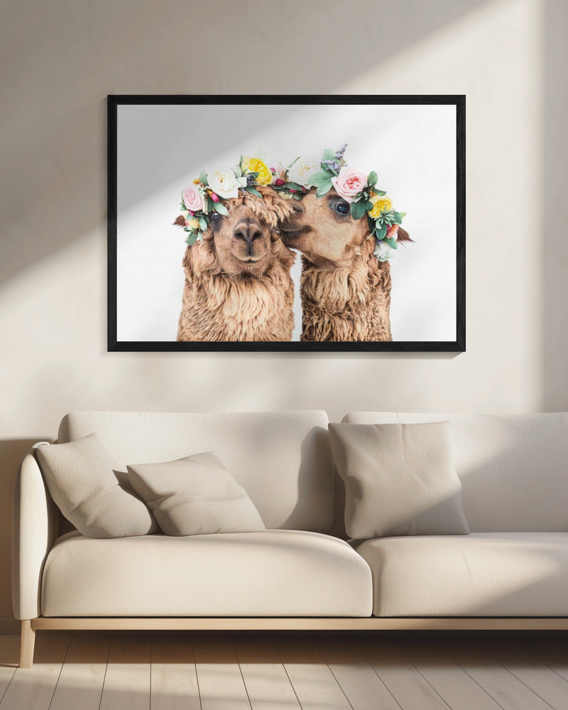 Boho Alpakas | Leinwand