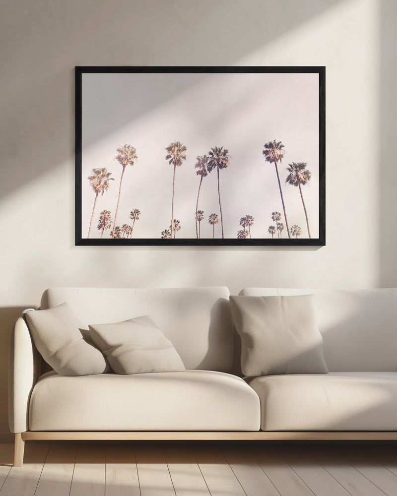 Sonnige Palmen in Kalifornien | Leinwand