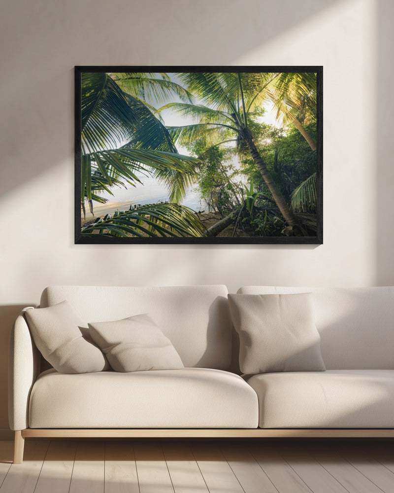 Verstecken unter Palmen | Leinwand