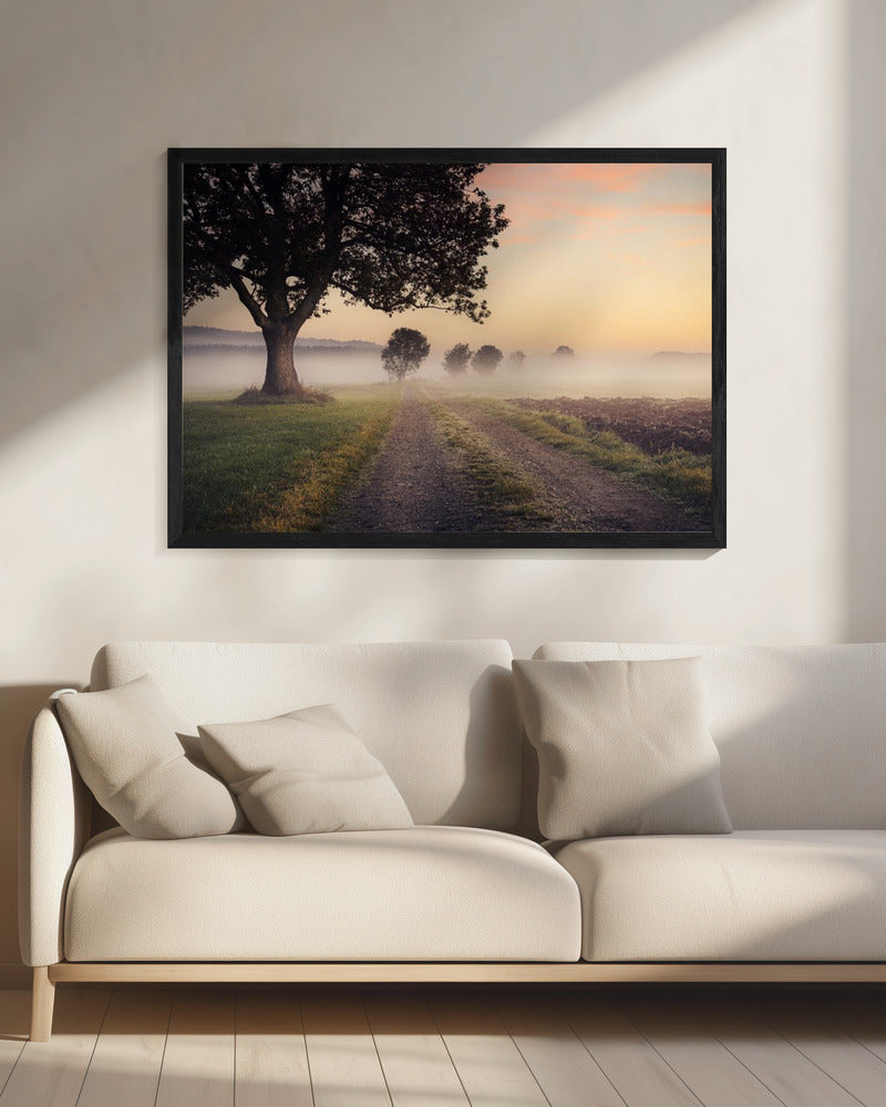 Mystischer Pfad | Leinwand